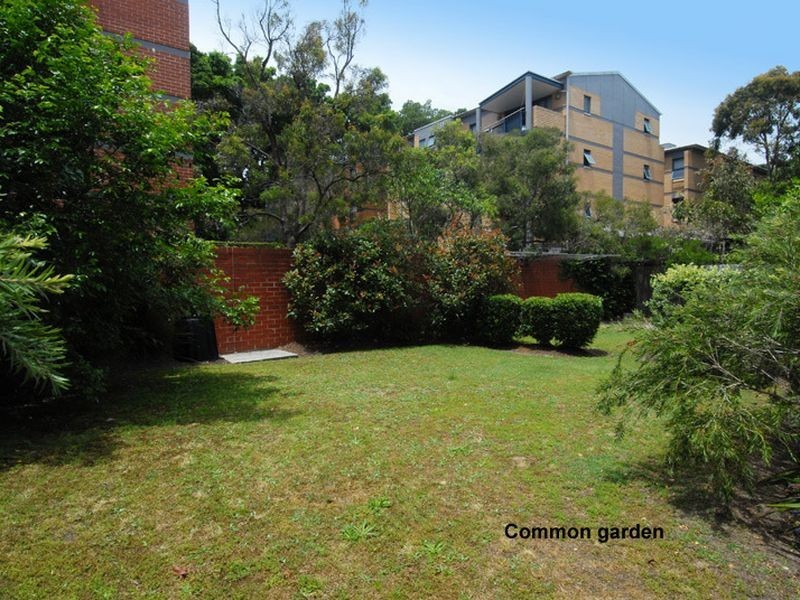 8/7 William Street, Randwick NSW 2031