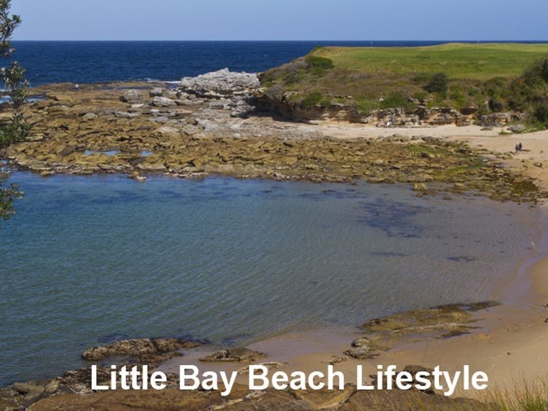 51 Gubbuteh Road, Little Bay NSW 2036