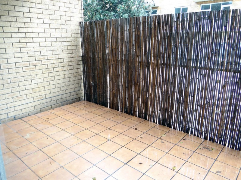 2/106 Mount Street, Coogee NSW 2034