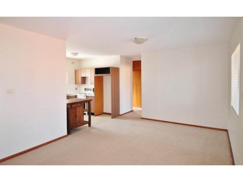 8/29 Carr Street, Coogee NSW 2034