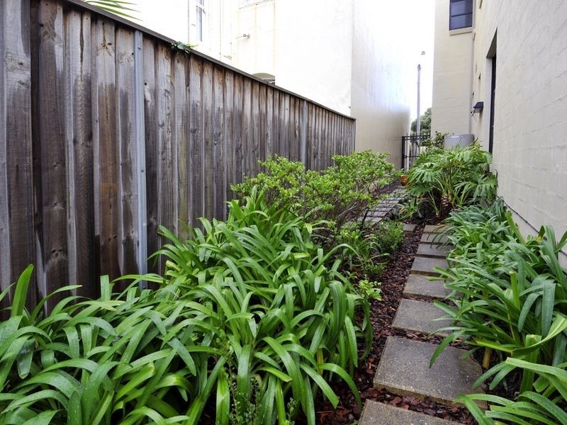 53 Avoca Street, Randwick NSW 2031