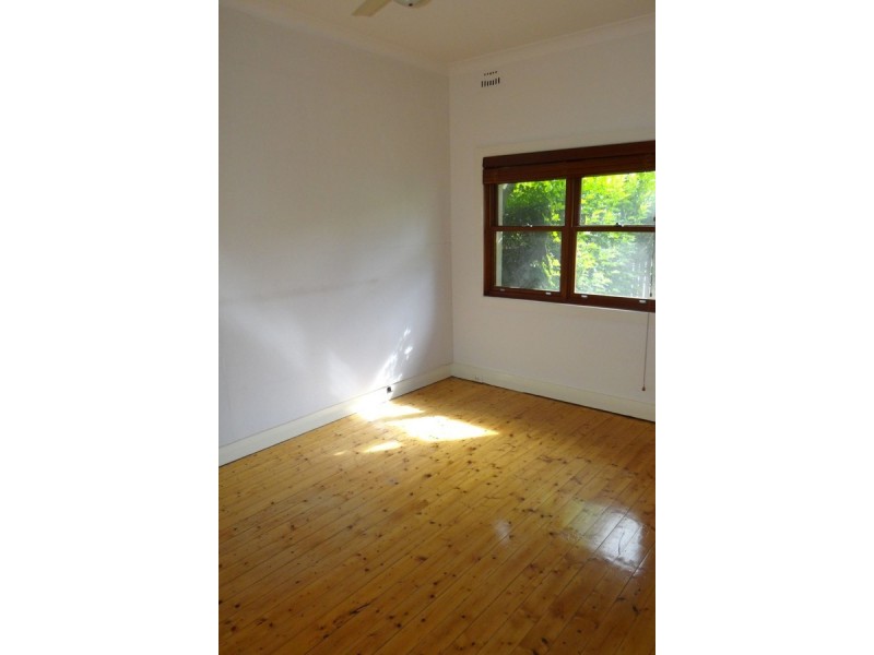 29 Helena Street, Randwick NSW 2031