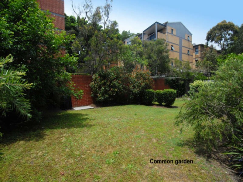 8/7 William Street, Randwick NSW 2031