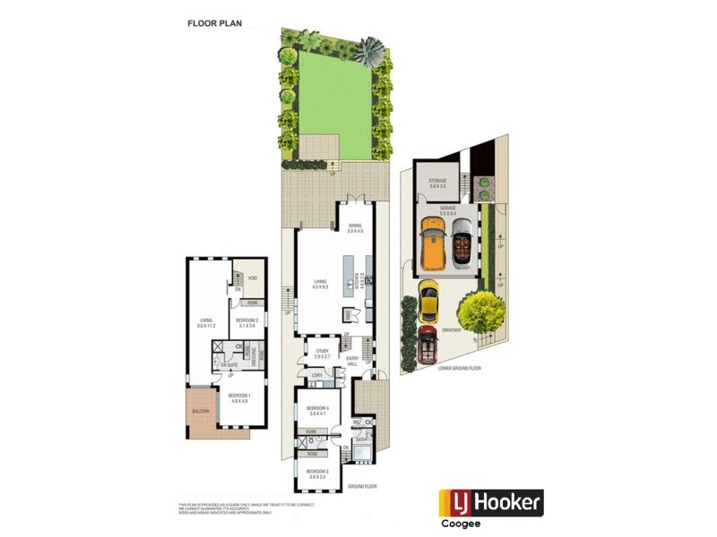 35 Meymott Street, Randwick NSW 2031 Floorplan