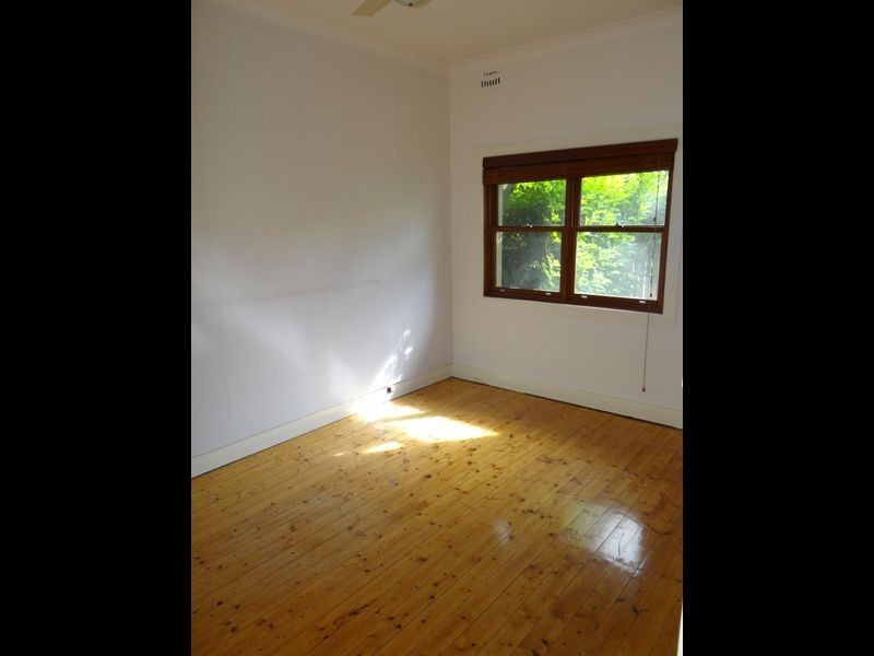 29 Helena Street, Randwick NSW 2031