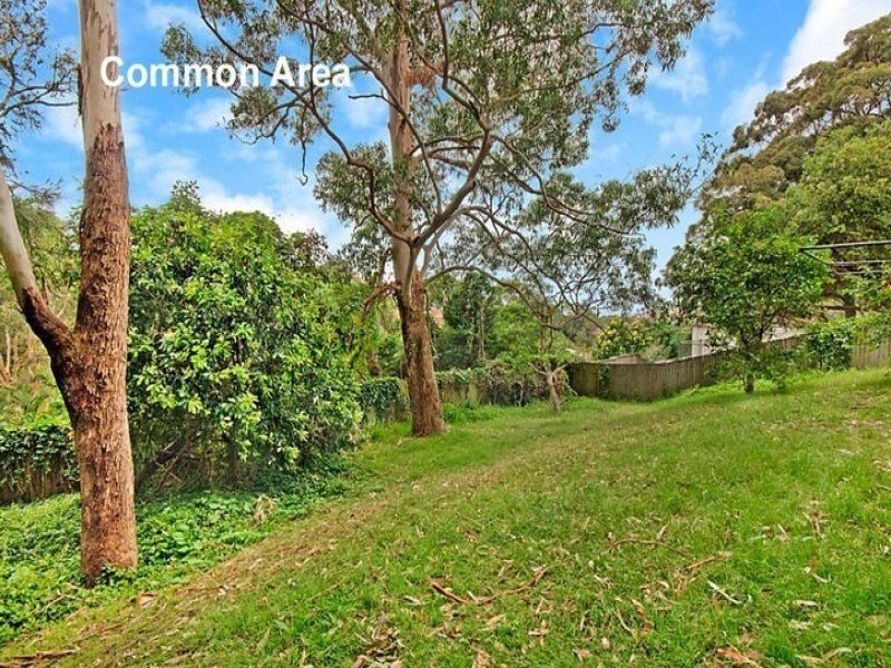 11/123 Carrington Rd., Randwick NSW 2031