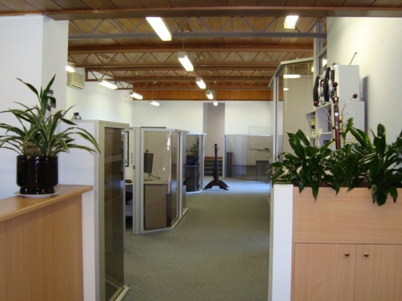 34 Falcon Street, Crows Nest NSW 2065