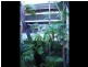St Leonards NSW 2065