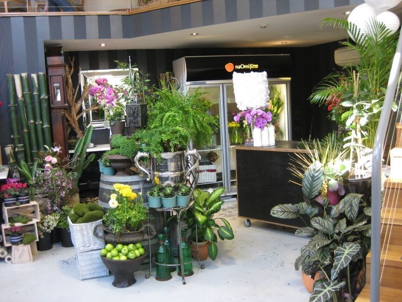 Terrace 6/1-5 Albany Street, St Leonards NSW 2065