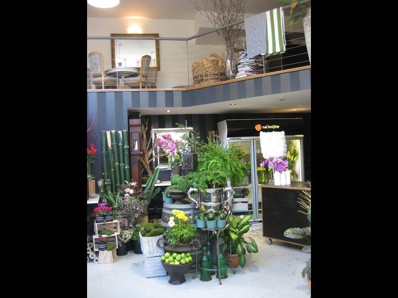 Terrace 6/1-5 Albany Street, St Leonards NSW 2065