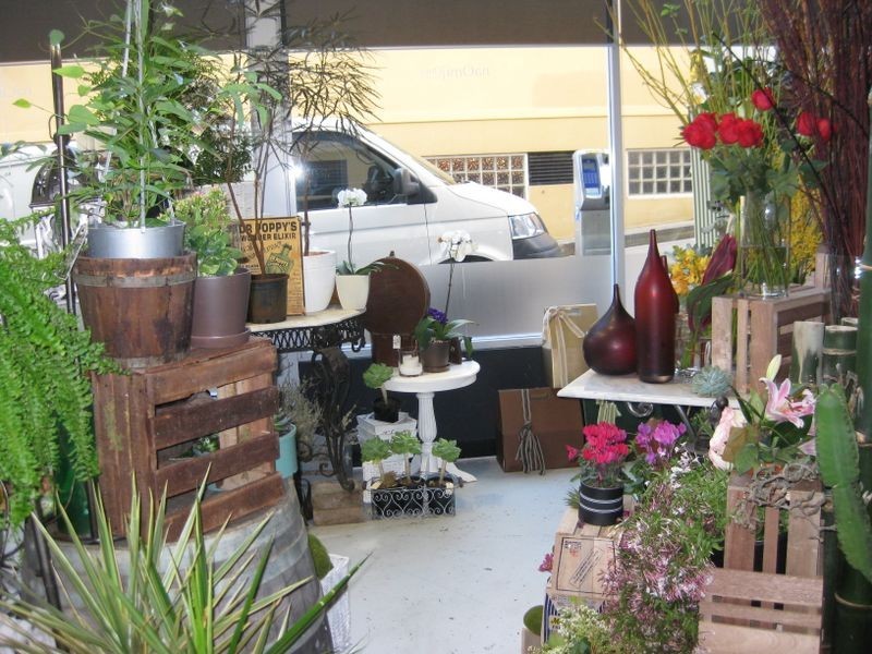 Terrace 6/1-5 Albany Street, St Leonards NSW 2065