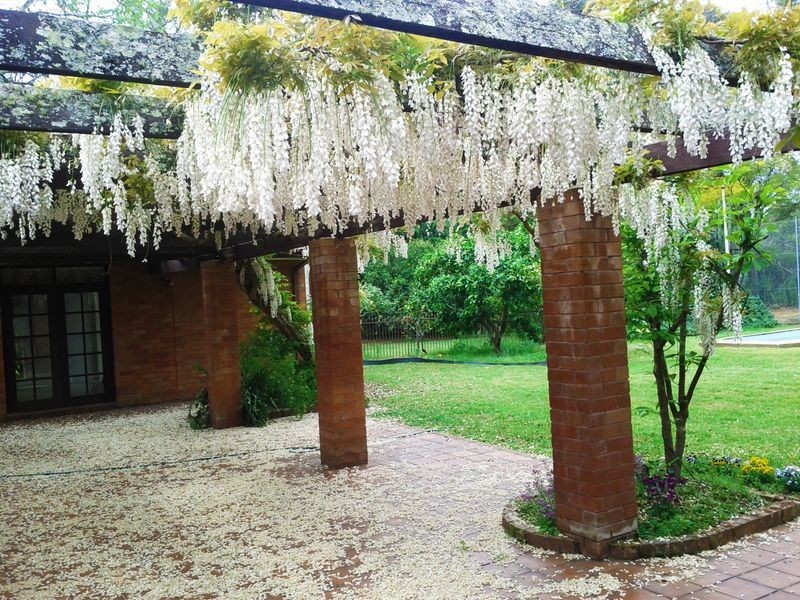 43A CRANSTONS ROAD, Middle Dural NSW 2158