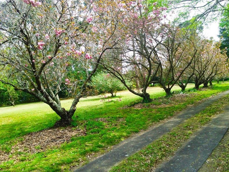 43A CRANSTONS ROAD, Middle Dural NSW 2158