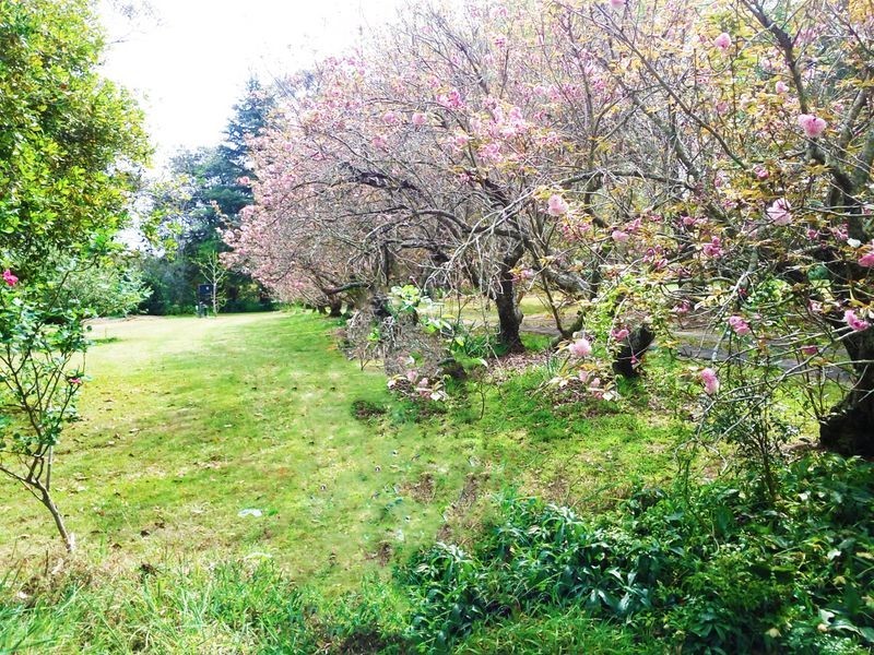 43A CRANSTONS ROAD, Middle Dural NSW 2158