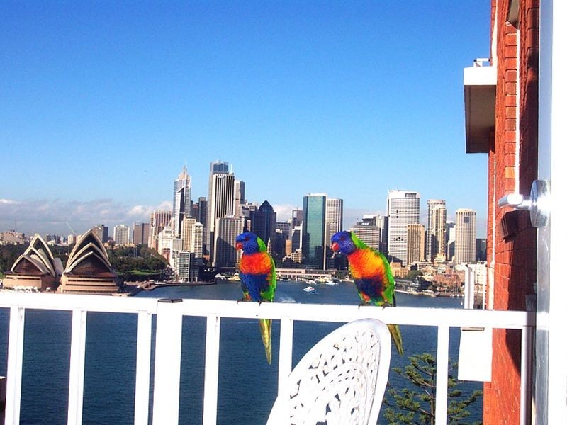 57 Upper Pitt Street, Kirribilli NSW 2061