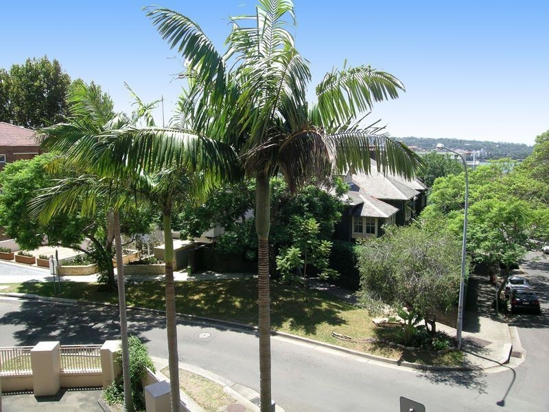 20 Carabella Street, Kirribilli NSW 2061