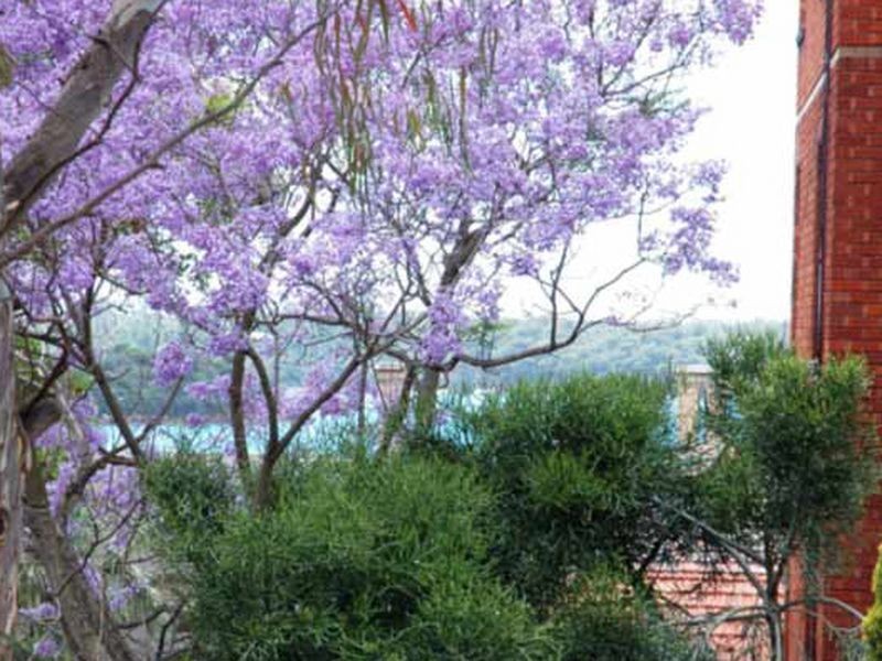 20 Carabella Street, Kirribilli NSW 2061