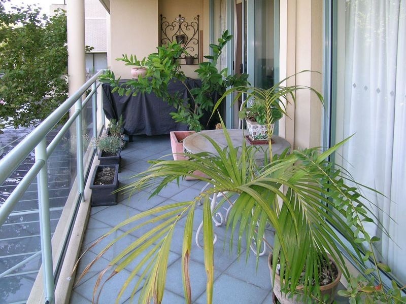 110 Alfred Street, Milsons Point NSW 2061