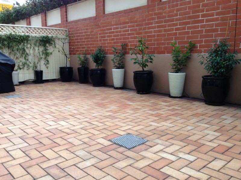 5/421 Pacific Highway, Artarmon NSW 2064