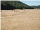 Putty Country Estate, Putty NSW 2330