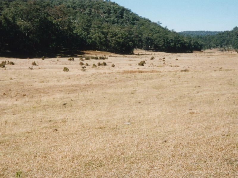 Putty Country Estate, Putty NSW 2330