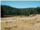 Putty Country Estate, Putty NSW 2330