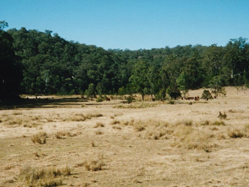 Putty Country Estate, Putty NSW 2330