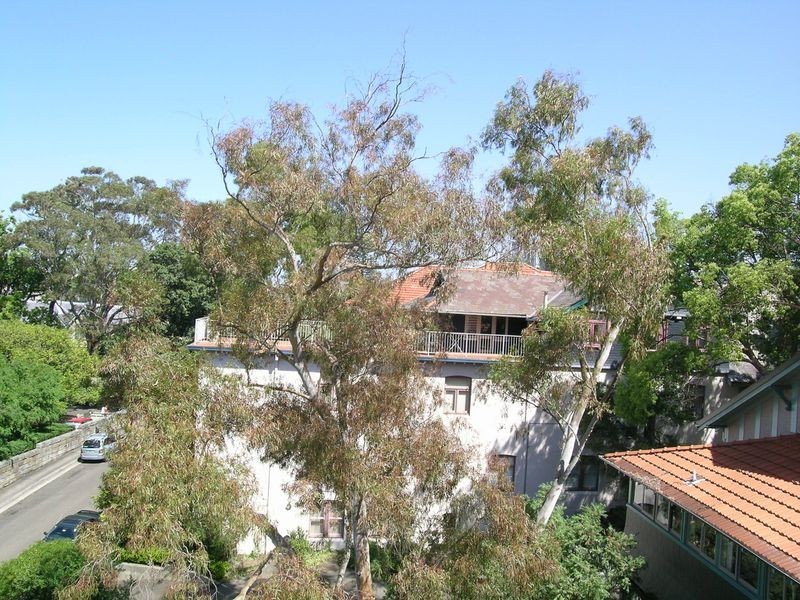 29 Carabella Street, Kirribilli NSW 2061