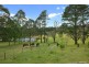1 Berambing Crescent, Bilpin NSW 2758