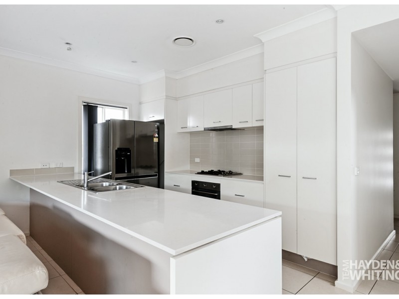 14 Bellinger Street, The Ponds NSW 2769