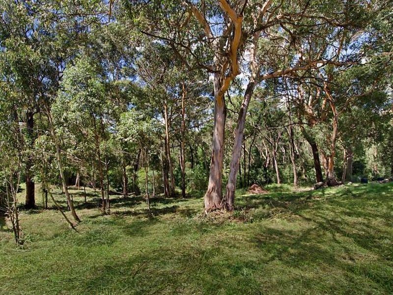 16 Lomandra Cct, Castle Hill NSW 2154