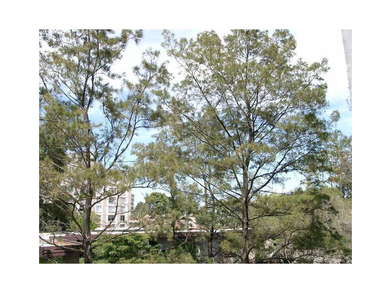 77 Cook Road, Centennial Park NSW 2021