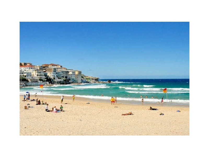 11 Flood Street, Bondi Junction NSW 2022