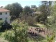 60 Drumalbyn Road, Bellevue Hill NSW 2023