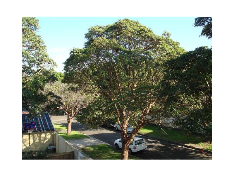 62 Queens Park Road, Queens Park NSW 2022