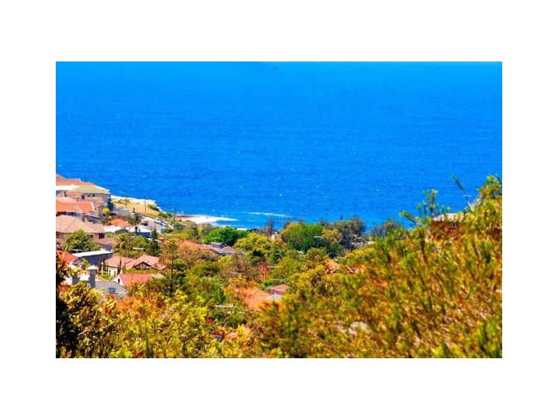 29 Douglas Street, Clovelly NSW 2031