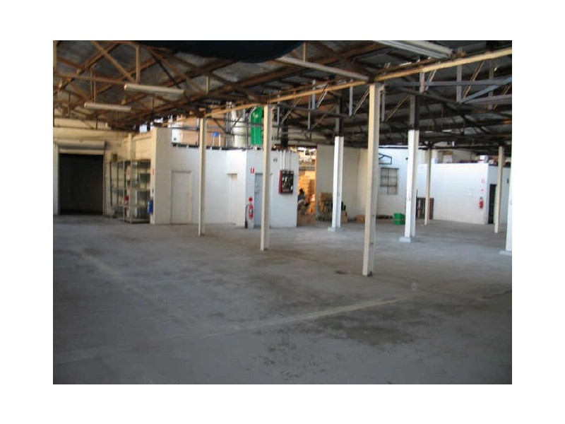 26 Birmingham Street, Alexandria NSW 2015