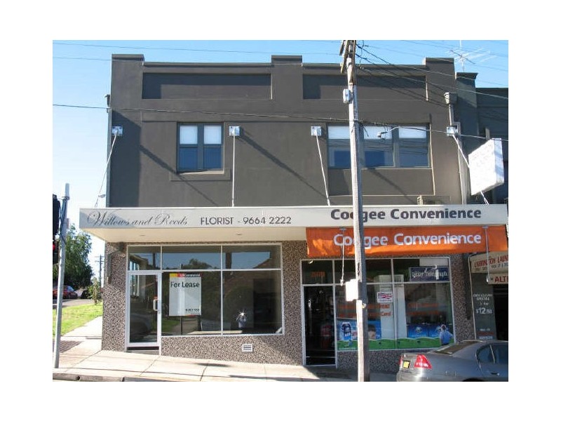 171 Carrington Road, Coogee NSW 2034