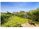 246 Old South Head Road, Vaucluse NSW 2030