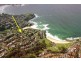 8 Andrew Street, Bronte NSW 2024