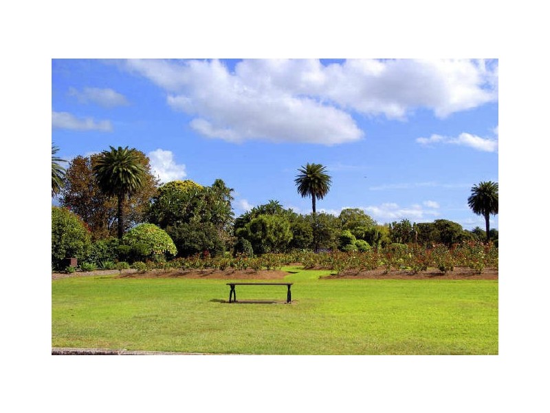 538/58 Cook Road, Centennial Park NSW 2021