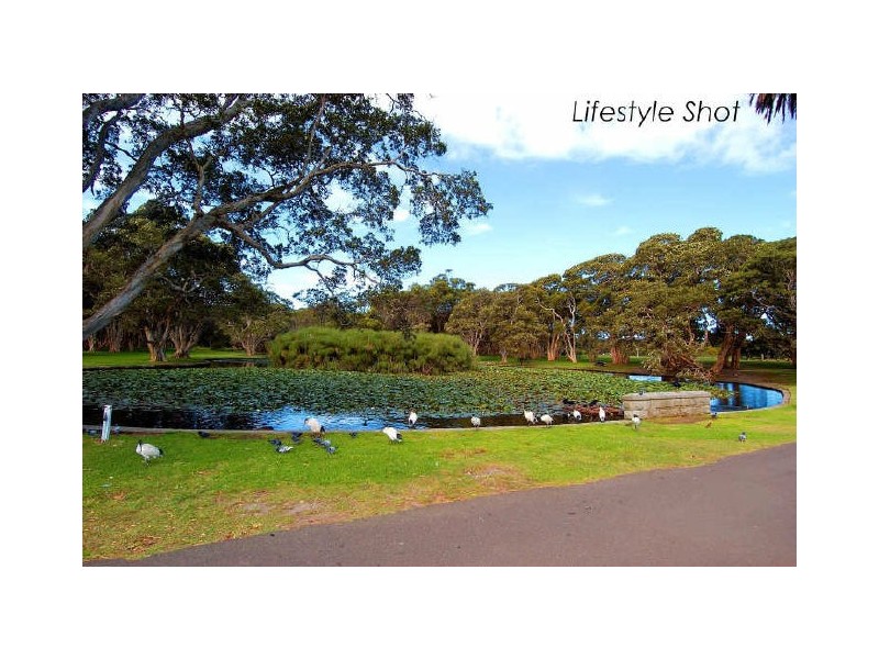 13 Castle Street, Randwick NSW 2031