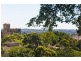 2/38 Nelson Street, Woollahra NSW 2025