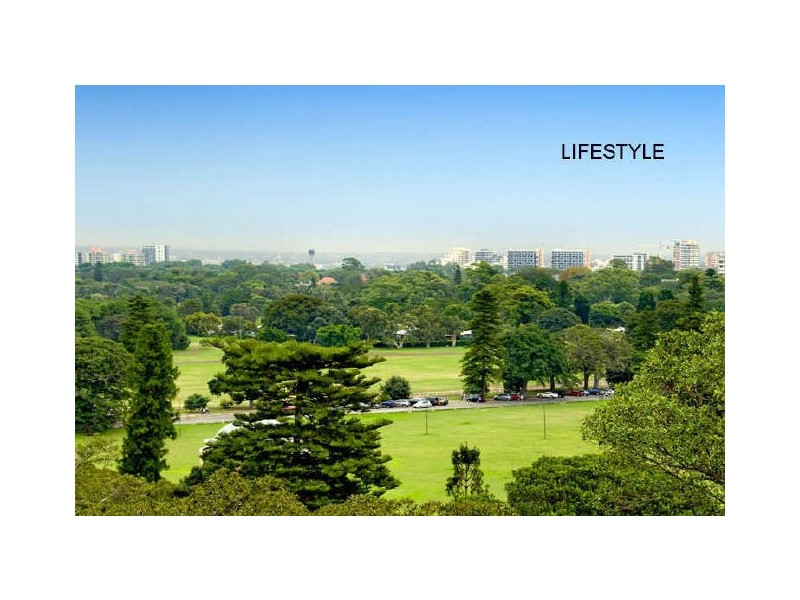 11A York Road, Bondi Junction NSW 2022
