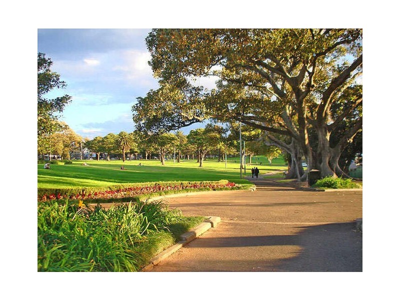 78 Cleveland Street, Chippendale NSW 2008