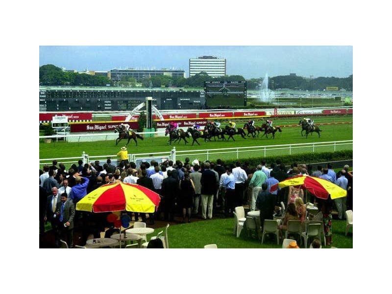 22 Milroy Avenue, Kensington NSW 2033