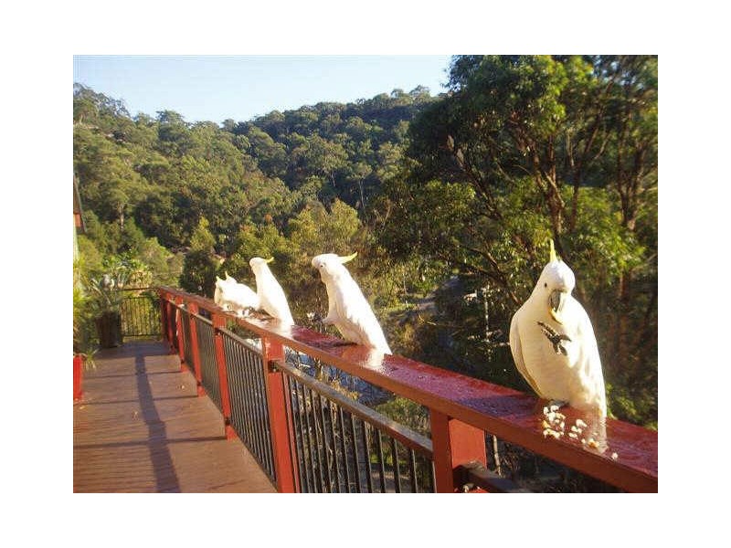 Umina Beach NSW 2257