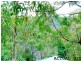 12 Abelia Place, Umina Beach NSW 2257
