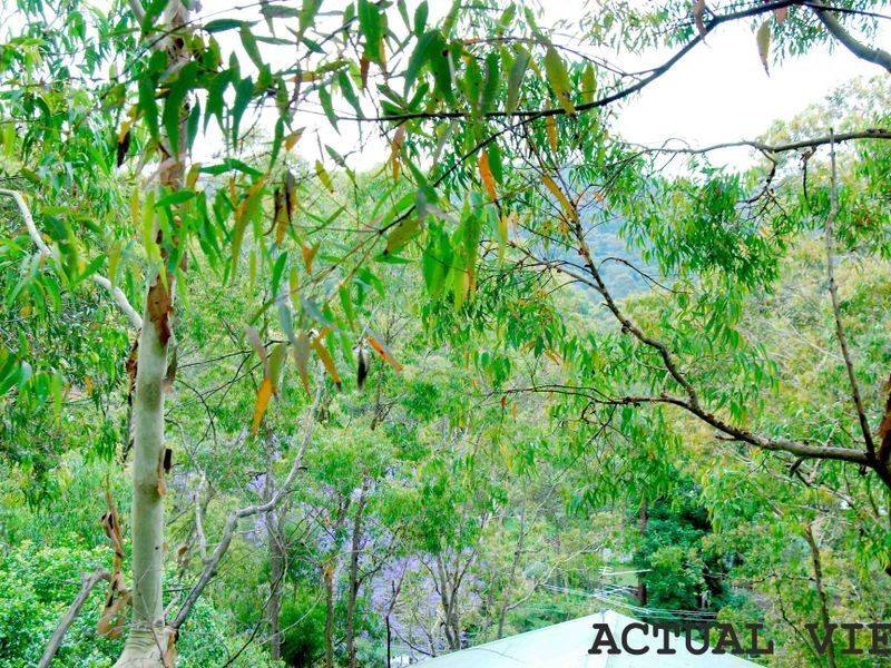 12 Abelia Place, Umina Beach NSW 2257