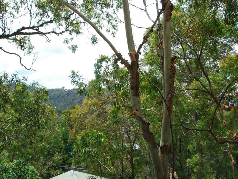 12 Abelia Place, Umina Beach NSW 2257